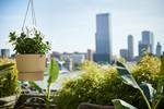 greenville hangschaal 24cm *goudkleurig zand